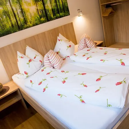 Apartmán Alpenapart Singer - Contactless Check-in