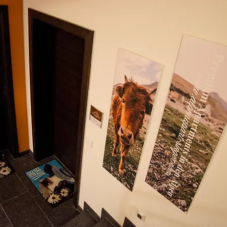 Alpenapart Singer - Contactless Check-in Apartment