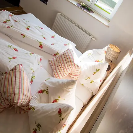 Apartment Alpenapart Singer - Contactless Check-in *