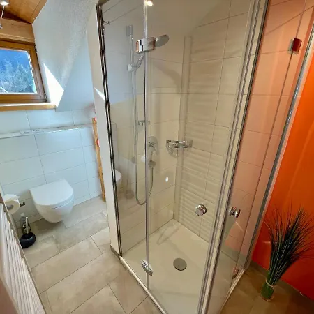 Daire Alpenapart Singer - Contactless Check-in