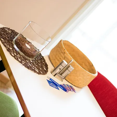 Alpenapart Singer - Contactless Check-in *