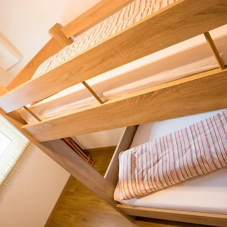 Daire Alpenapart Singer - Contactless Check-in *