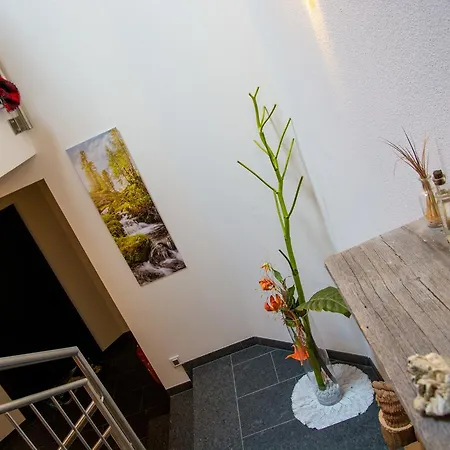 Alpenapart Singer - Contactless Check-in Daire *